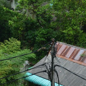 Suicide squirrel bij Penang Hill. 